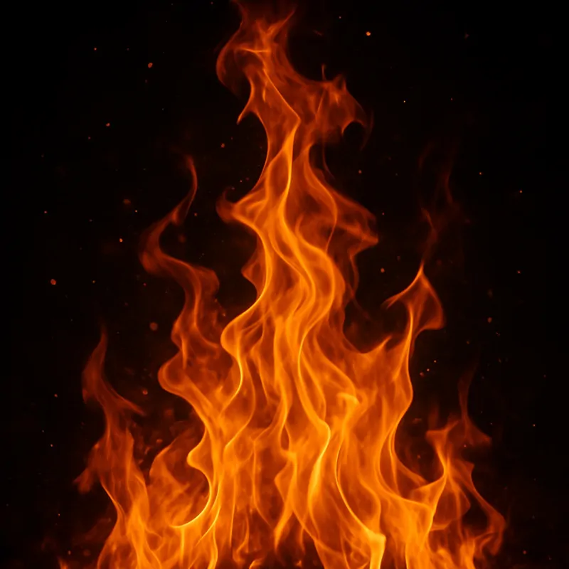 Cover of Rock around the Fire
