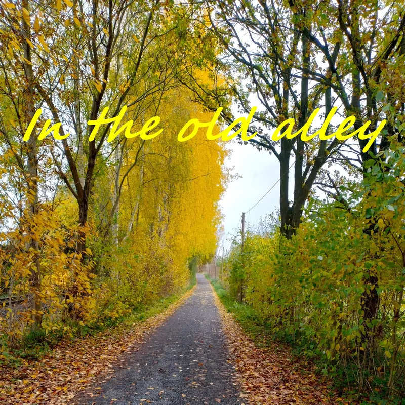 Cover of In the old alley