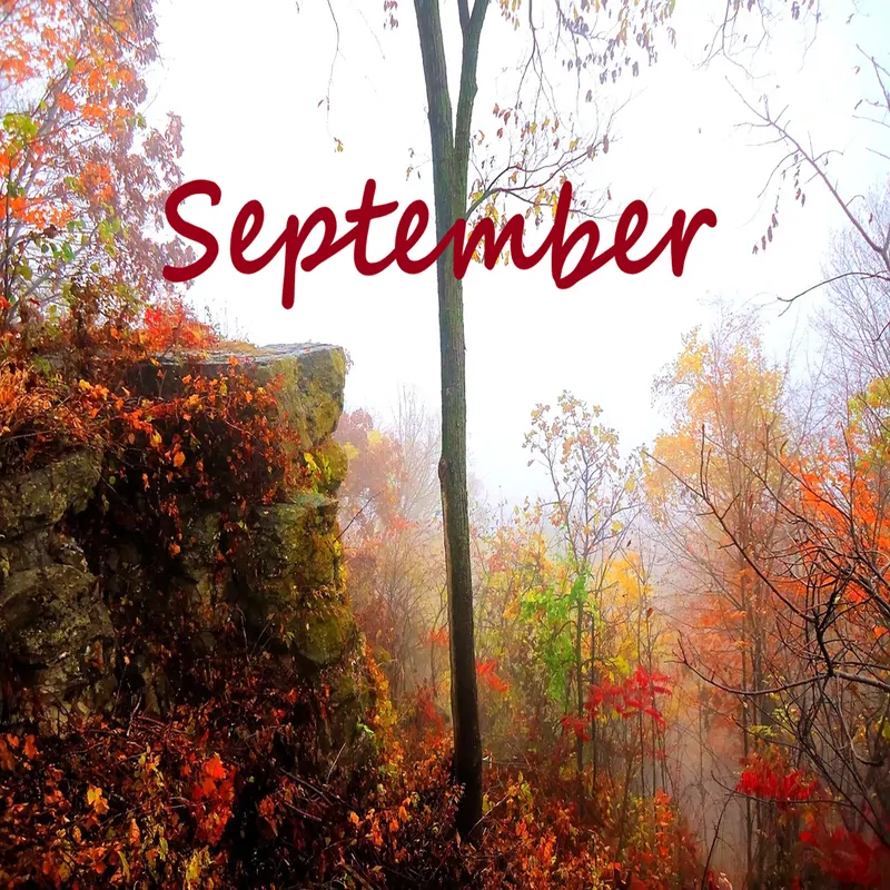 Cover of September
