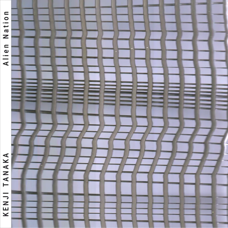 Cover of Alien Nation