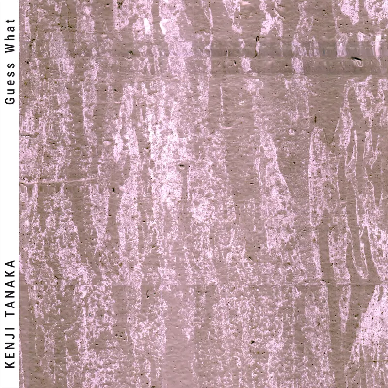 Cover of Guess What