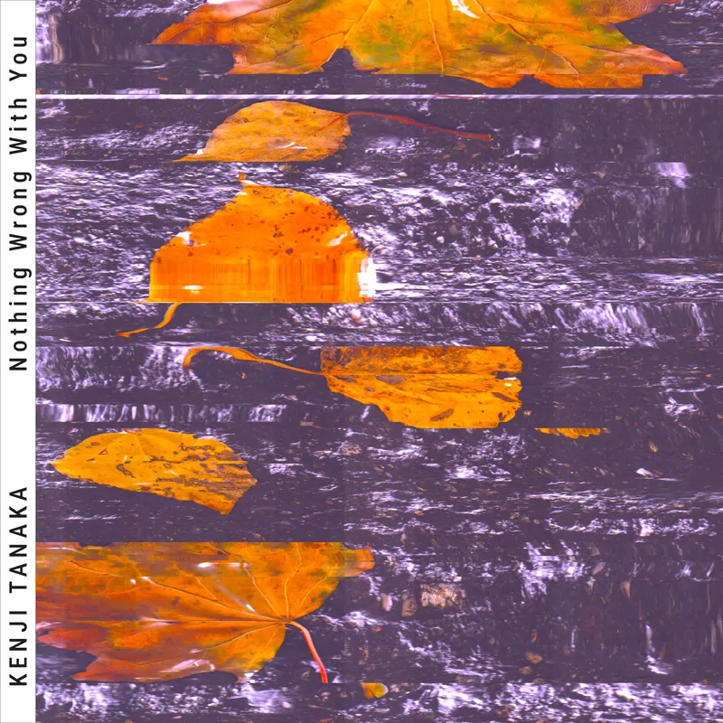 Cover of Nothing Wrong With You