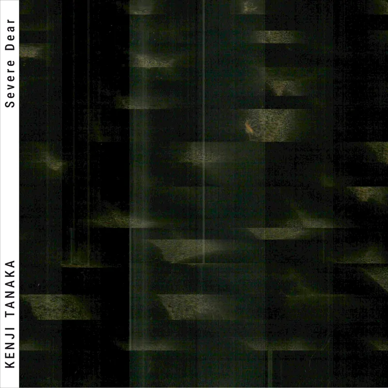 Cover of Severe Dear