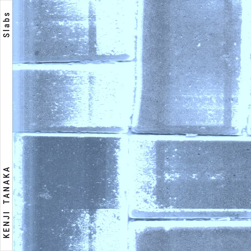 Cover of Slabs