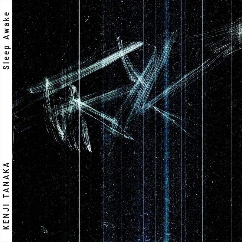 Cover of Sleep Awake