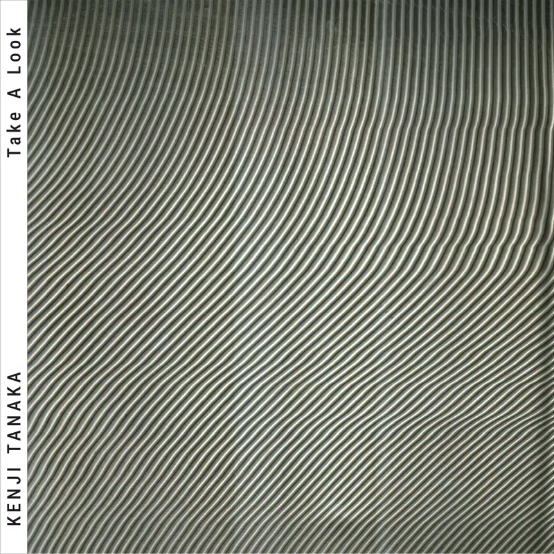 Cover of Take A Look