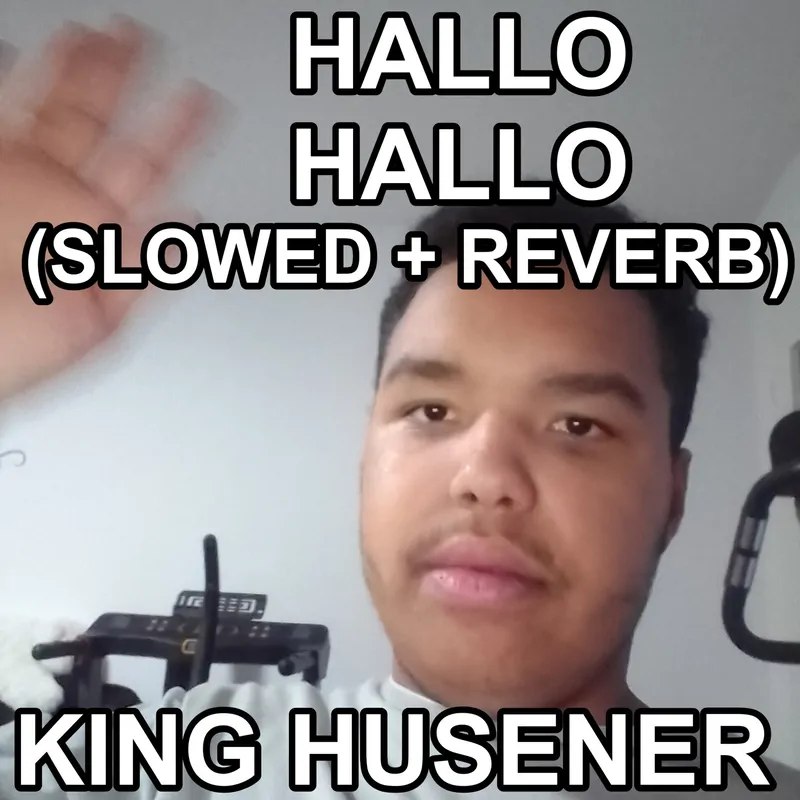 Cover of Hallo Hallo