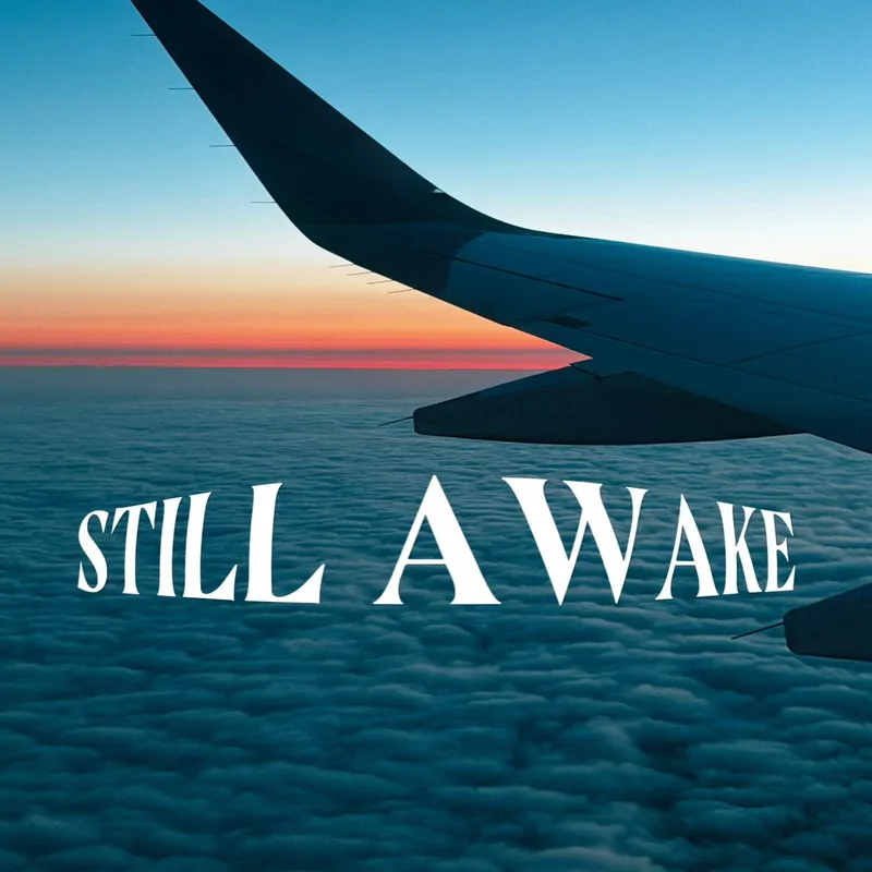 Cover of Still Awake