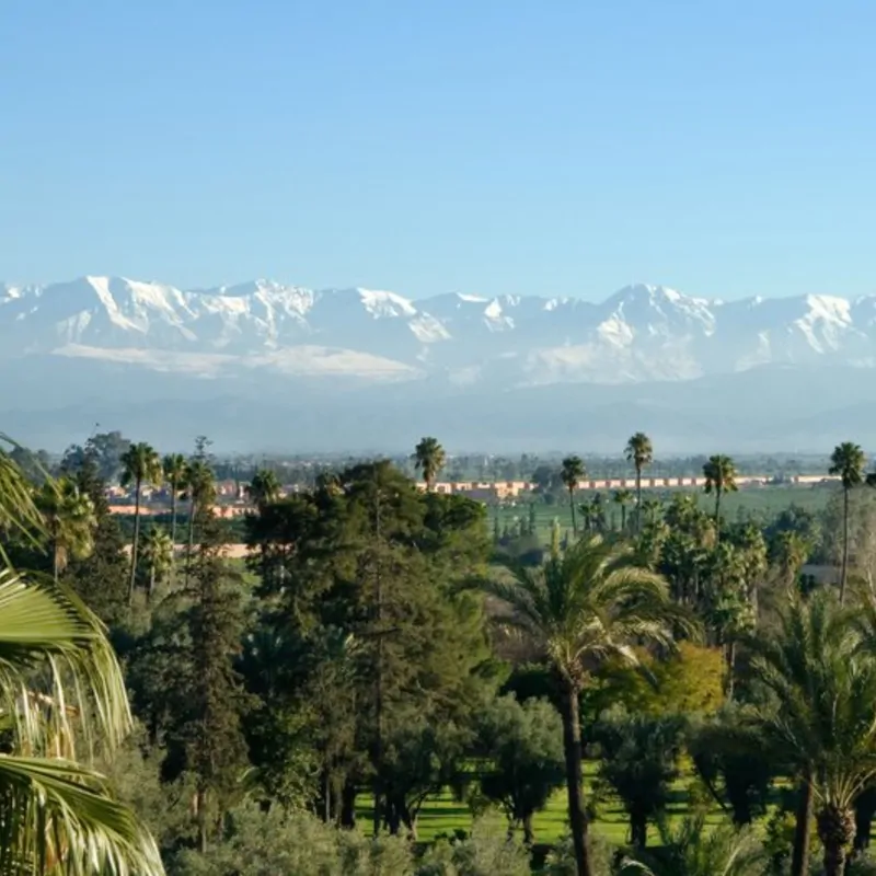 Cover of Marrakesh