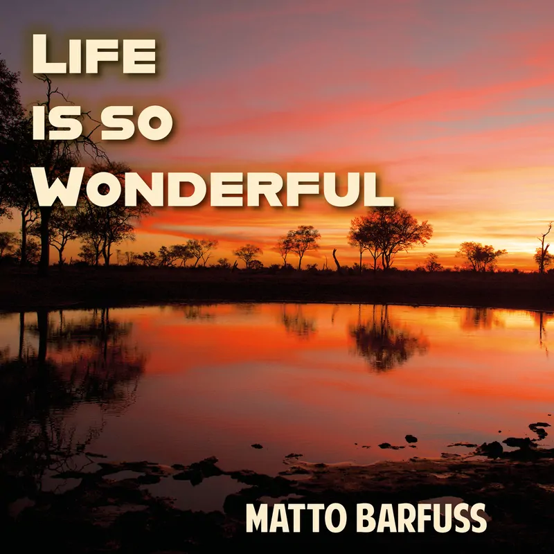 Cover of Life is so Wonderful