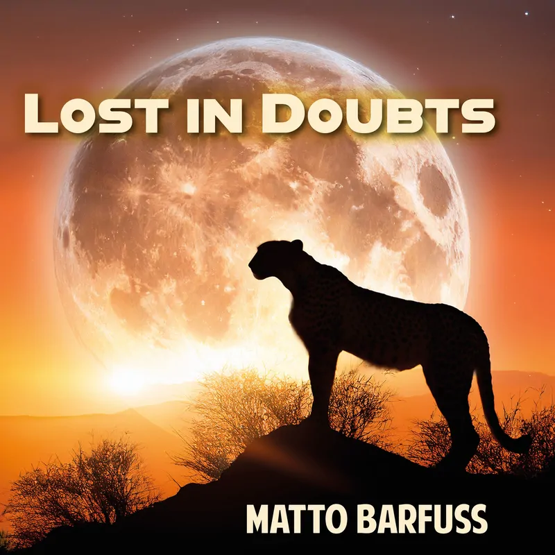 Cover of Lost in Doubts