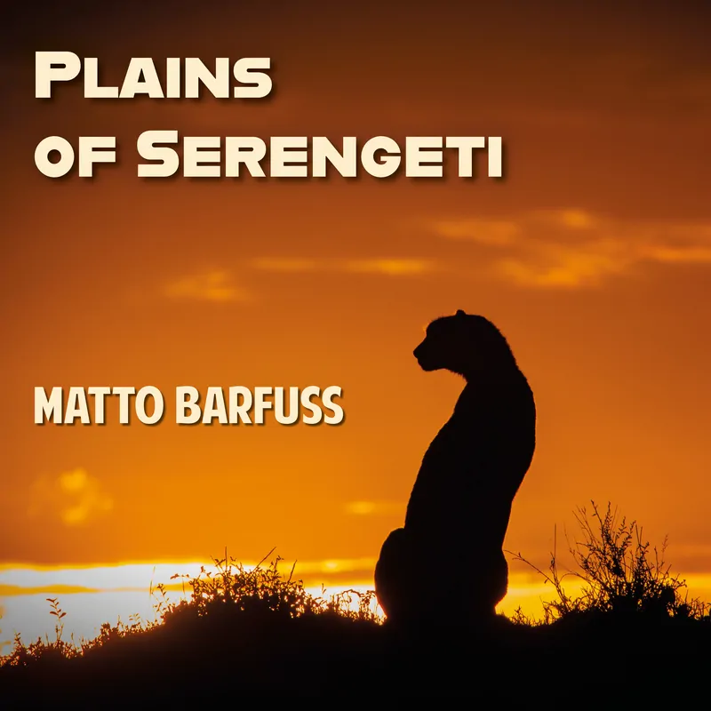 Cover of Plains of Serengeti
