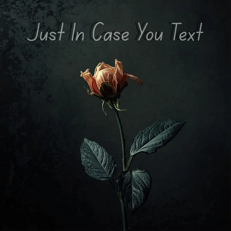 Cover of Just in Case You Text