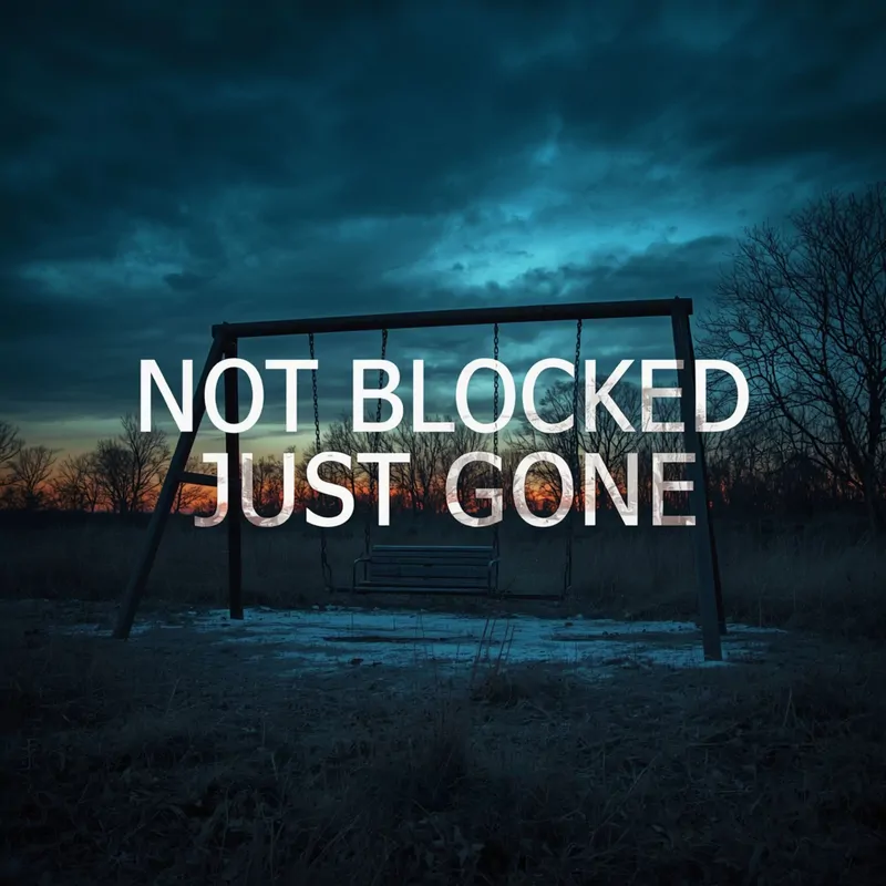 Cover of Not Blocked Just Gone