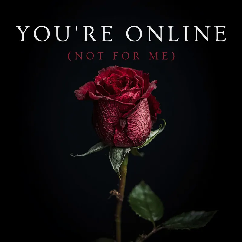 Cover of You’re Online (Not for Me)