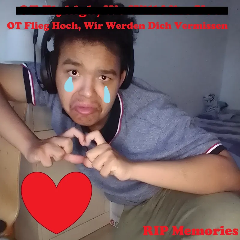 Cover of Ot Flieg hoch, Wir Werden Dich Vermissen