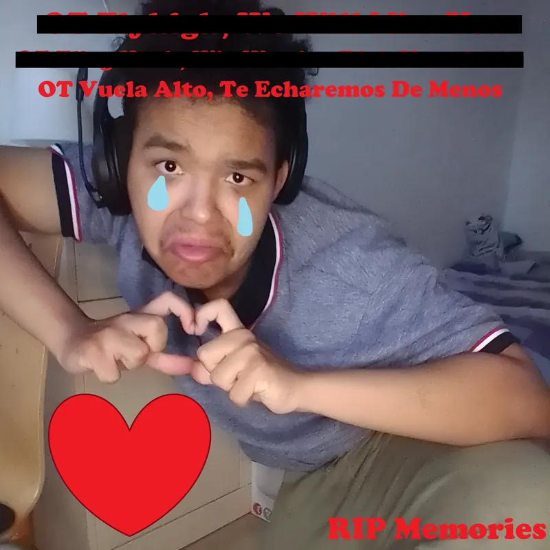 Cover of Ot Vuela Alto, Te Echaremos de Menos
