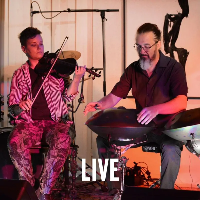 Cover of Salamon&Hemetsberger Live