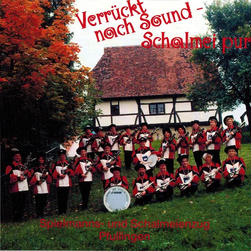 Cover of Verrückt nach Sound - Schalmei pur