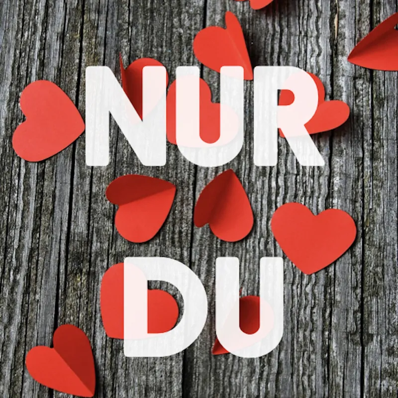 Cover of Nur Du