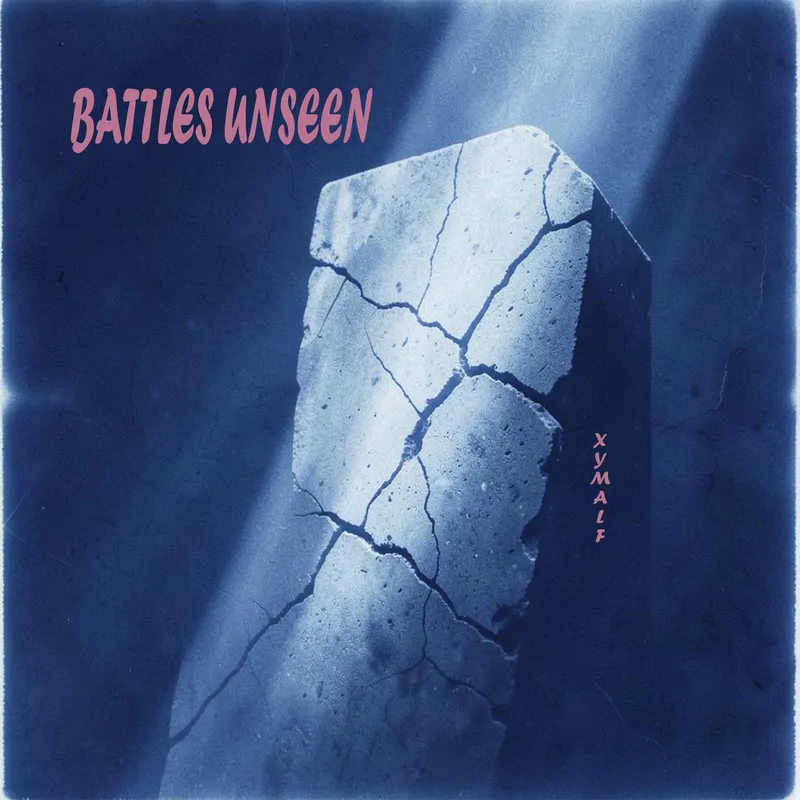 Cover of Battles Unseen