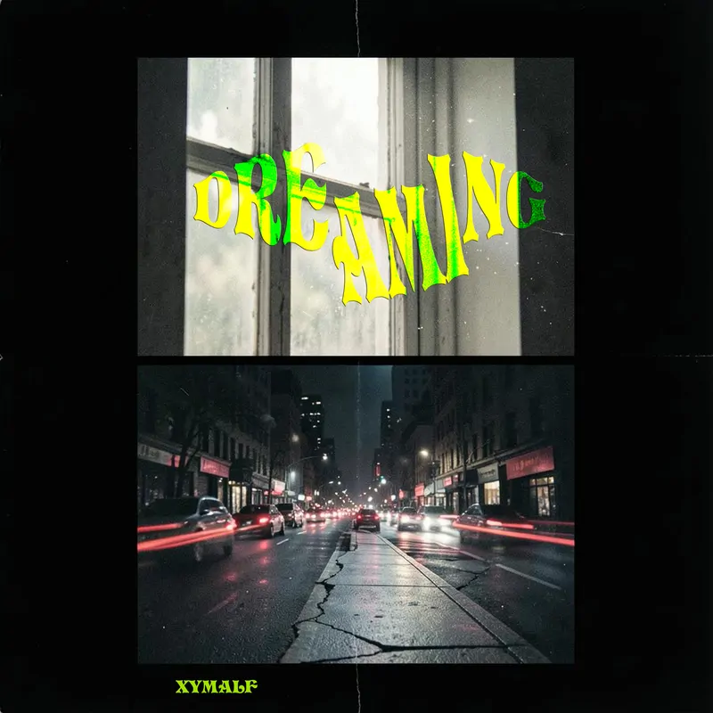 Cover of Dreaming