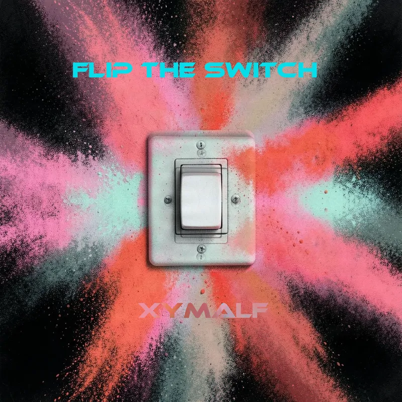 Cover of Flip the Switch
