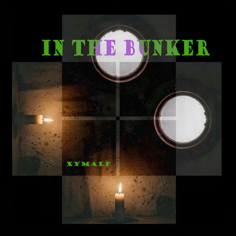 Cover of In the Bunker