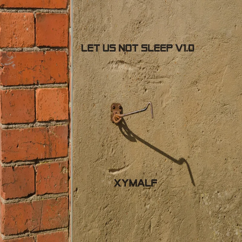 Cover of Let us not sleep