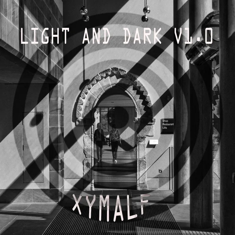 Cover of Light and dark