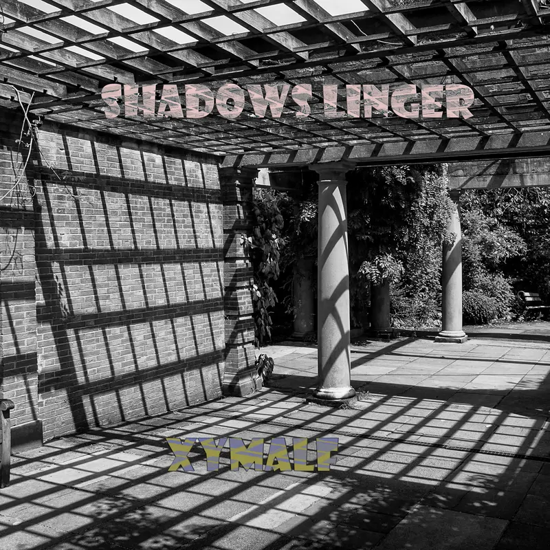 Cover of Shadows Linger