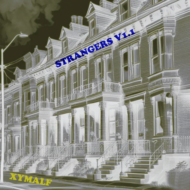 Cover of Strangers