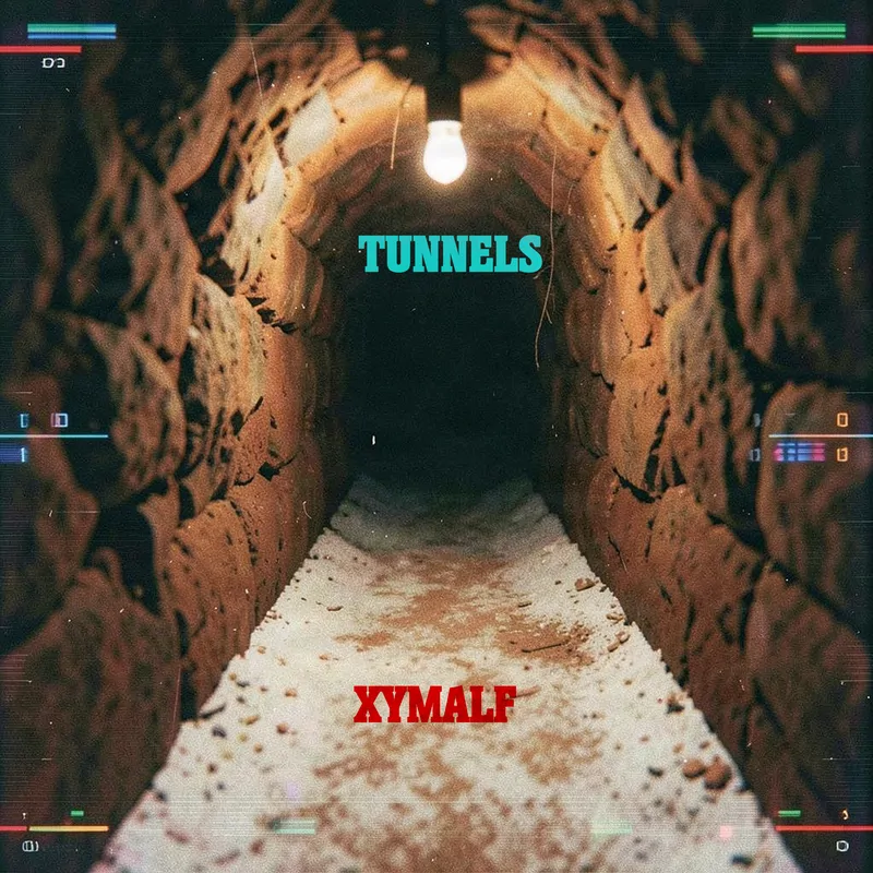 Cover of Tunnels