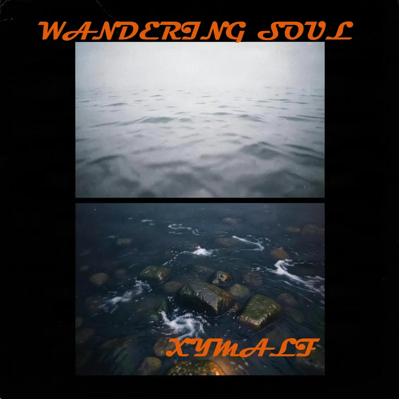 Cover of Wandering Soul