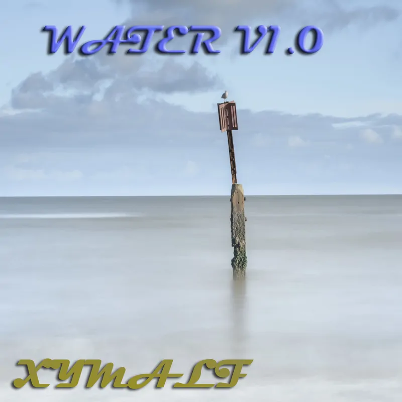 Cover of Water V1.0